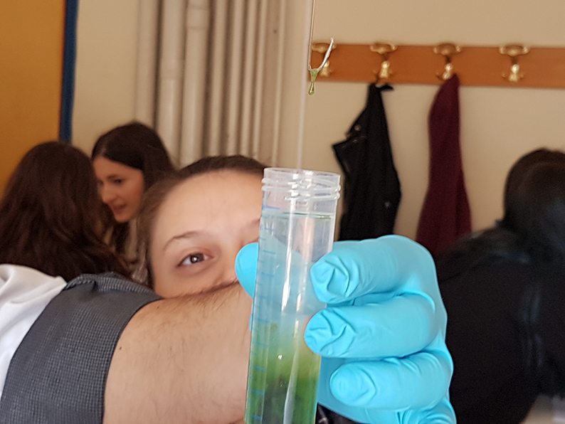 High-school students have actually isolated DNA from micro-algae!